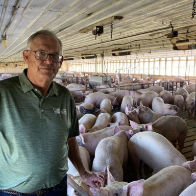 Congress Needs to Help Hog Farmers Still in Crisis Thumbnail