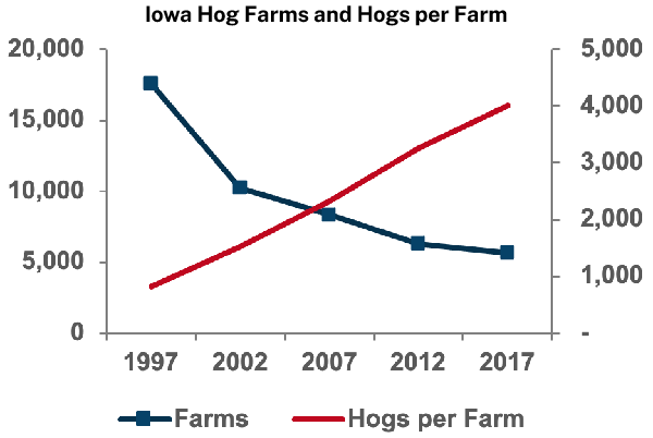 Iowa Hog Farms and Hogs per Farm