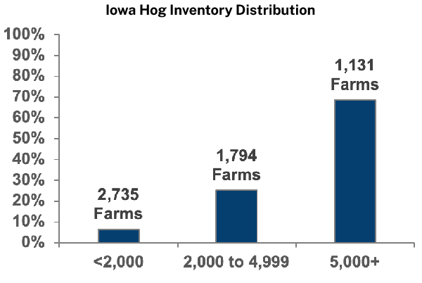 Iowa Hog Inventory Distribution
