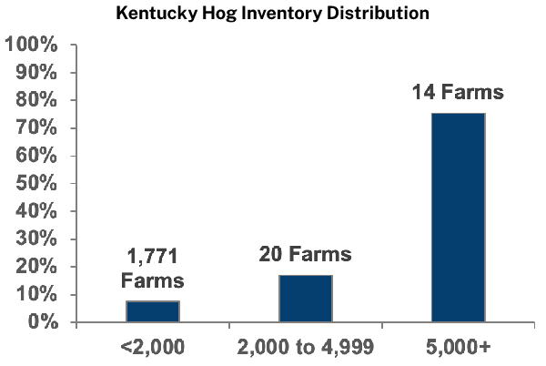 Kentucky Hog Inventory Distribution