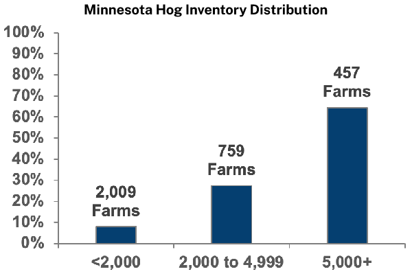 Minnesota Hog Inventory Distribution