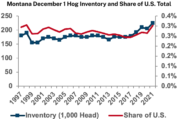 Montana December 1 Hog Inventory and Share of U.S. Total
