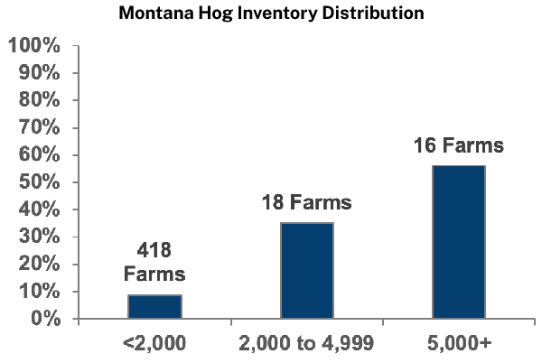 Montana Hog Inventory Distribution
