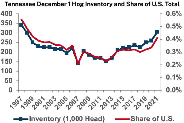 Tennessee December 1 Hog Inventory and Share of U.S. Total