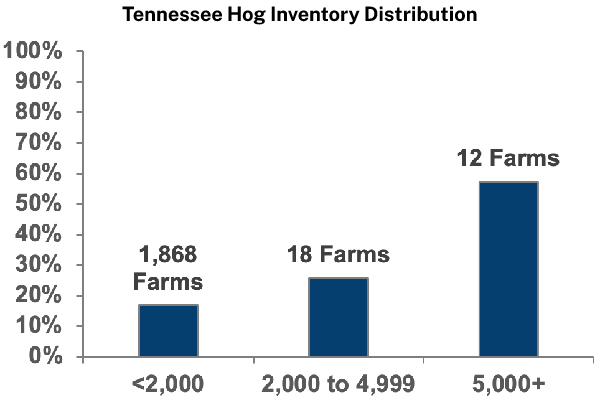 Tennessee Hog Inventory Distribution
