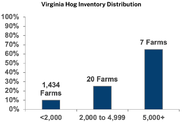 Virginia Hog Inventory Distribution