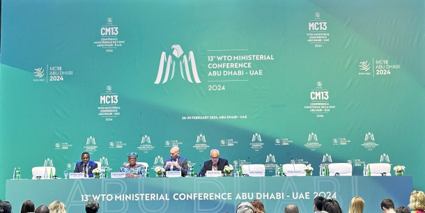 WTO ministerial panel