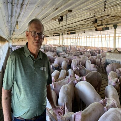 Congress Needs to Help Hog Farmers Still in Crisis Thumbnail