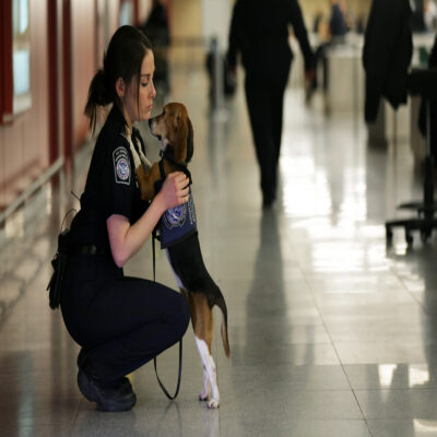 Beefing Up Border Biosecurity Gets Boost from Congress Thumbnail